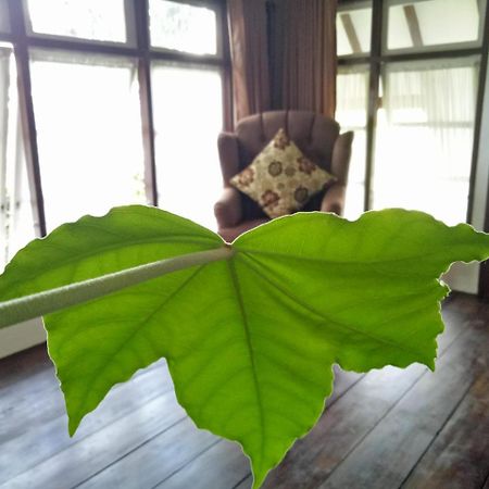 Rumah Pakankamih 부키팅기 외부 사진
