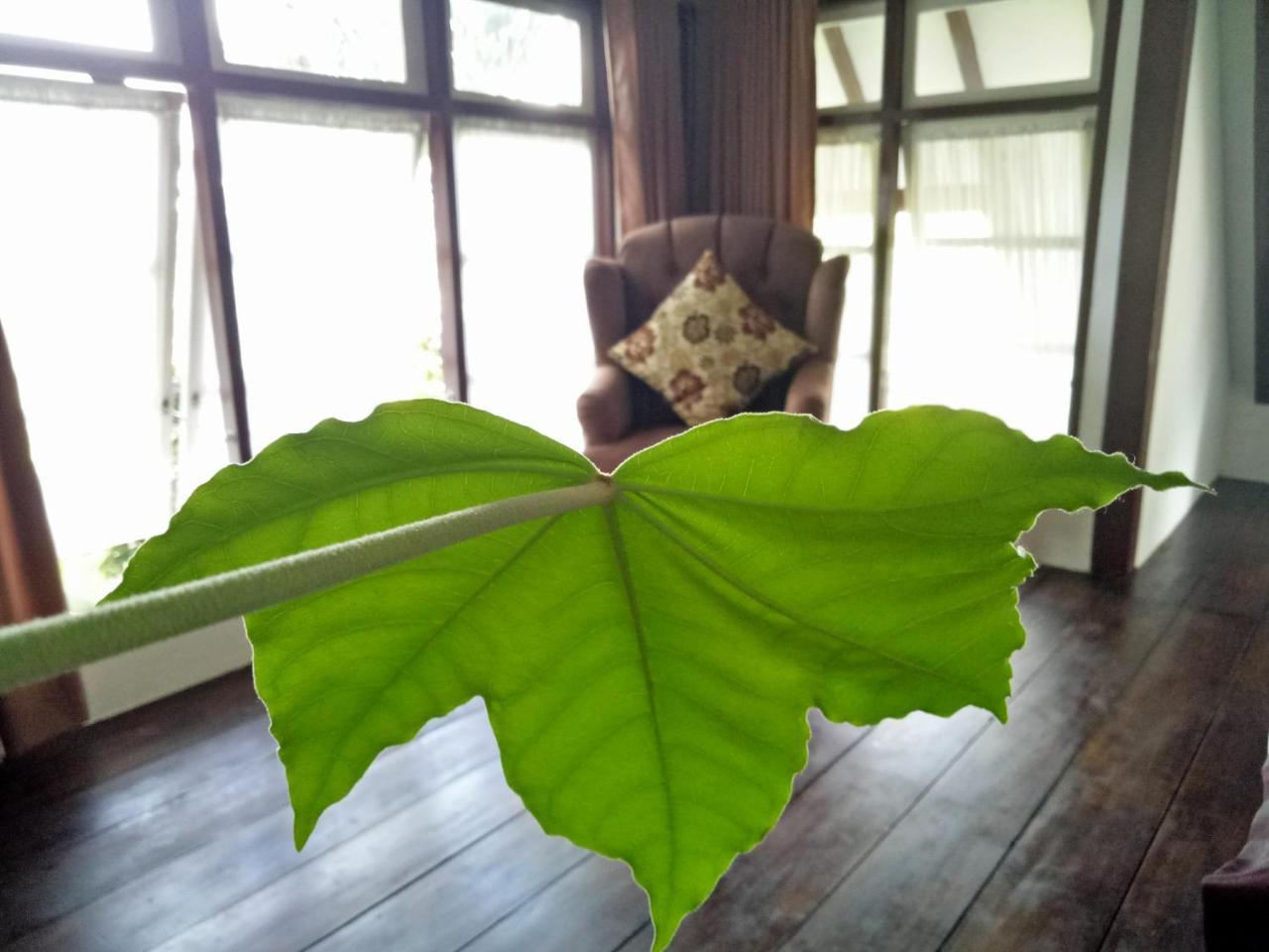 Rumah Pakankamih 부키팅기 외부 사진